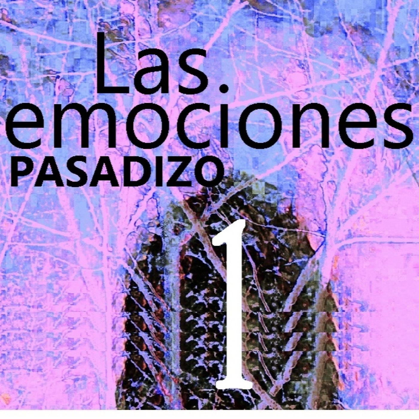 PASADIZO