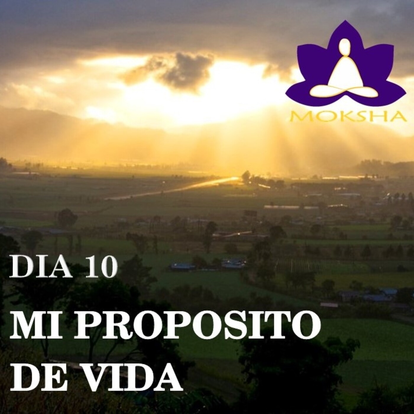 Aprende Meditación en 10 Días