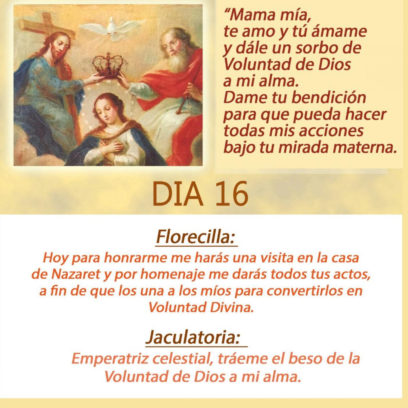DIVINA VOLUNTAD CONSAGRACION A LA REINA DEL CIELO