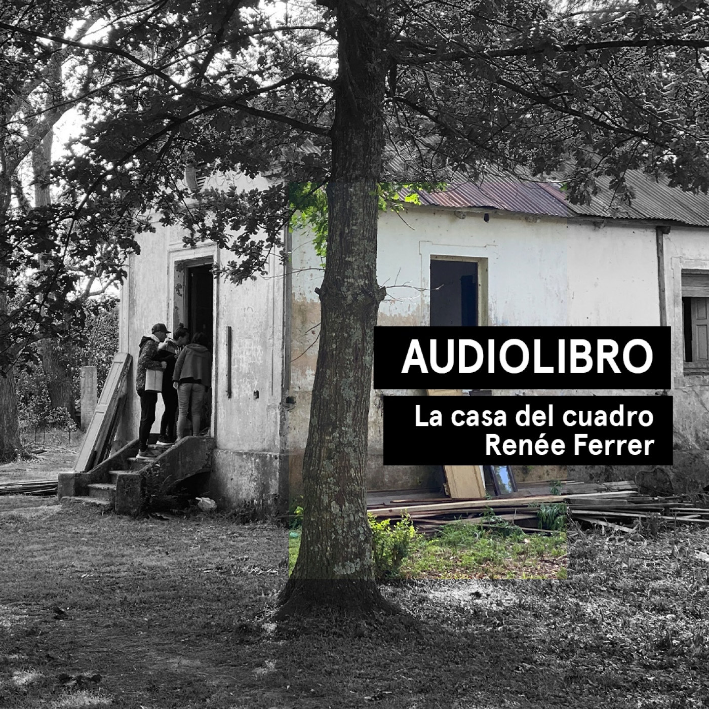 La casa del cuadro - Renée Ferrer | Audiolibros Por qué leer | Audiocuento
