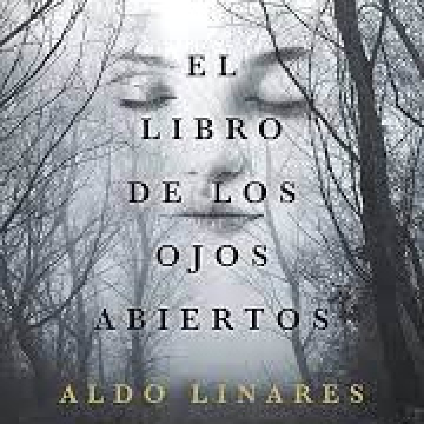Lector del misterio 50 El libro de los ojos abiertos de Aldo Linares