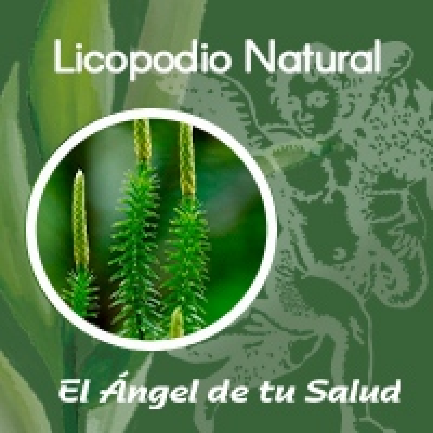 El Ángel de tu Salud - Licopodio Natural** episode artwork