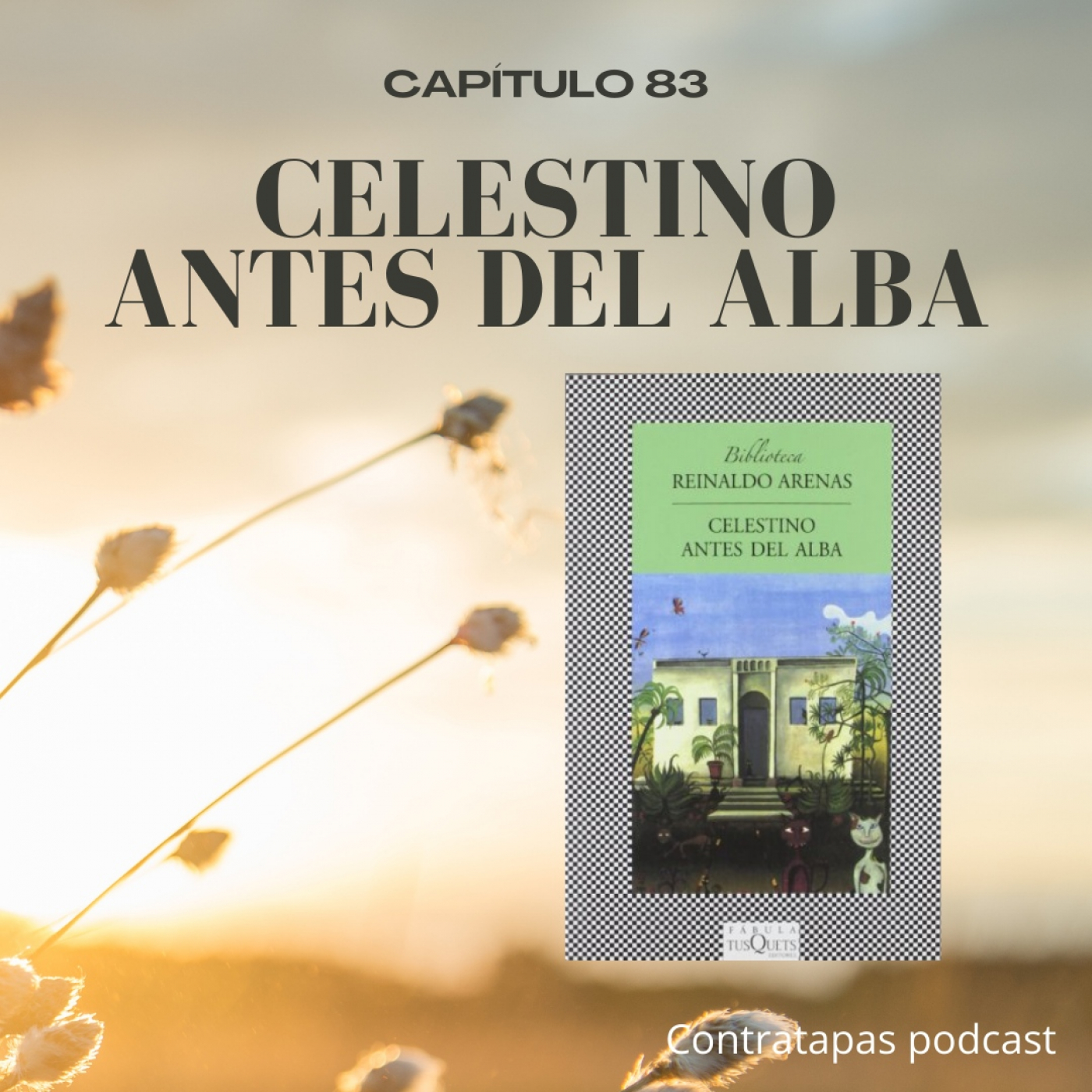 Contratapas Podcast