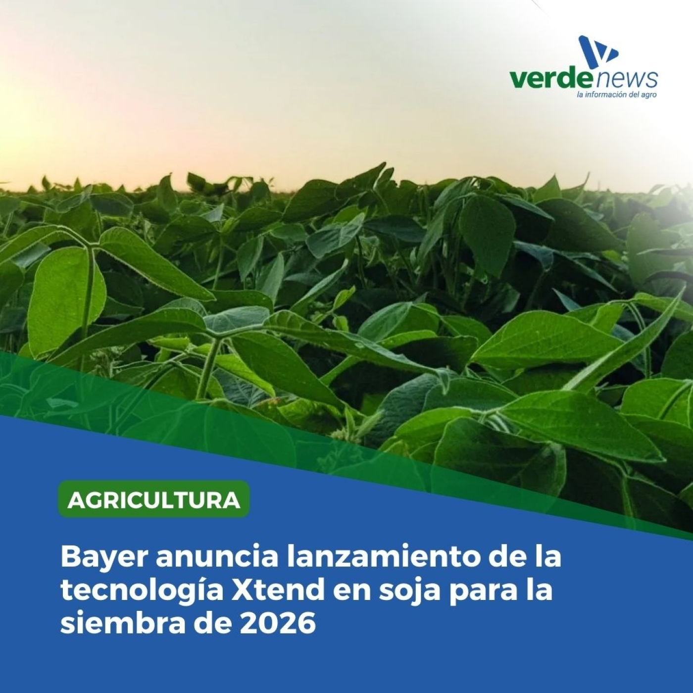 Marcos Carrera - líder comercial de Bayer CropScience Uruguay - 01/11/24 episode artwork