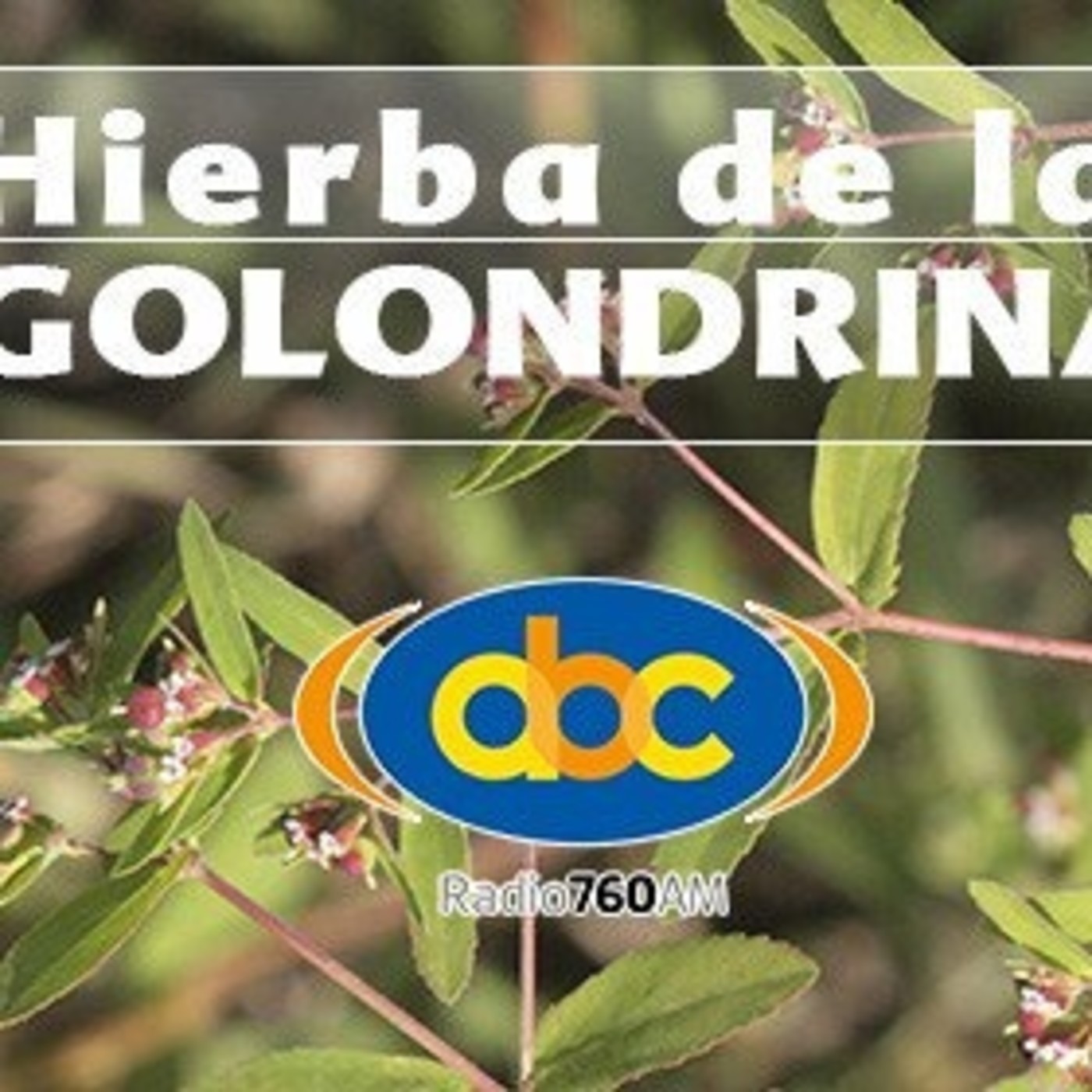 El Ángel de tu Salud - GOLONDRINA episode artwork