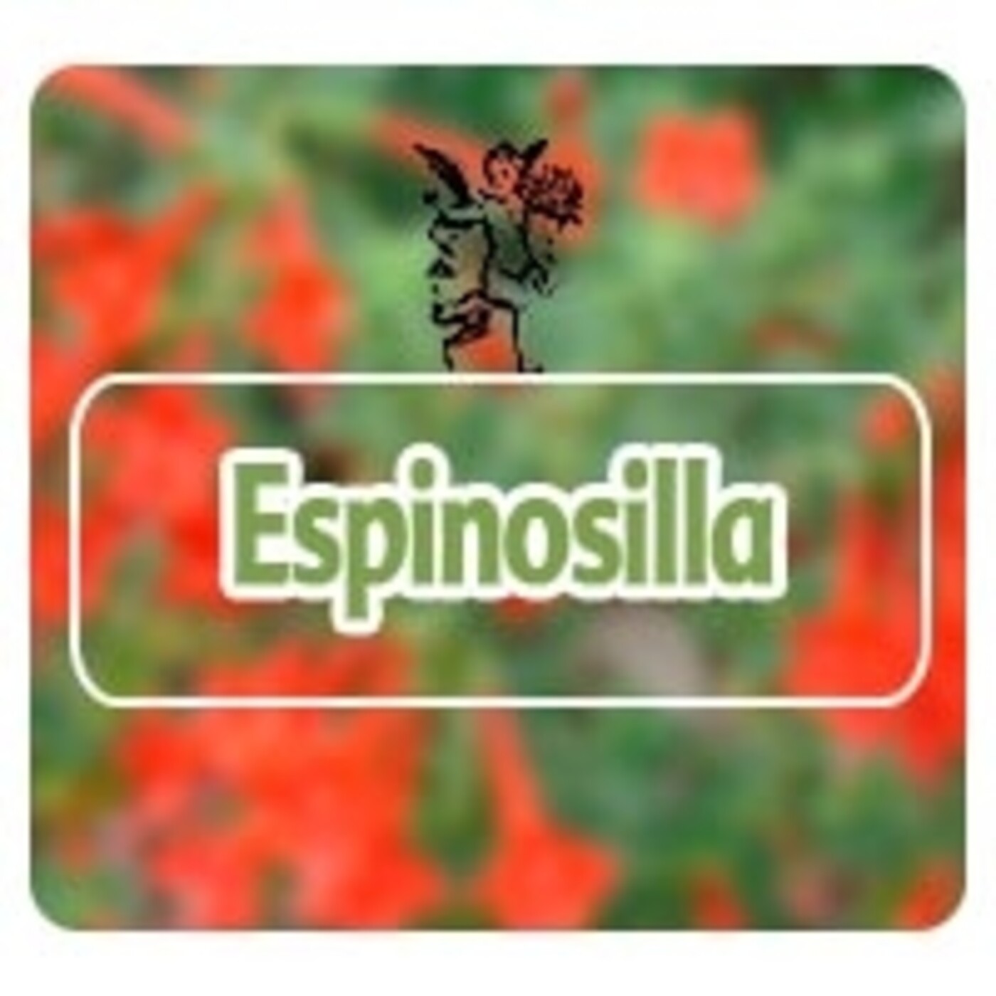 El Angel de tu Salud - ESPINOSILLA episode artwork