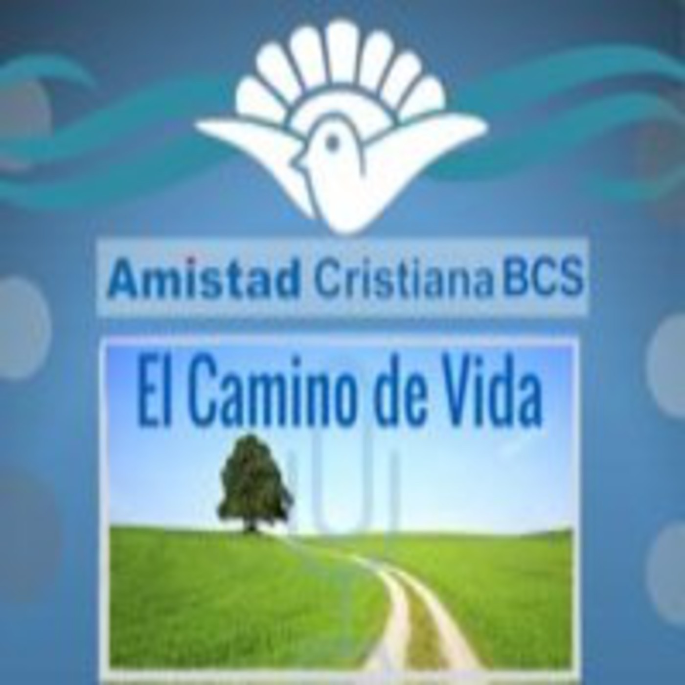 Amistad Cristiana