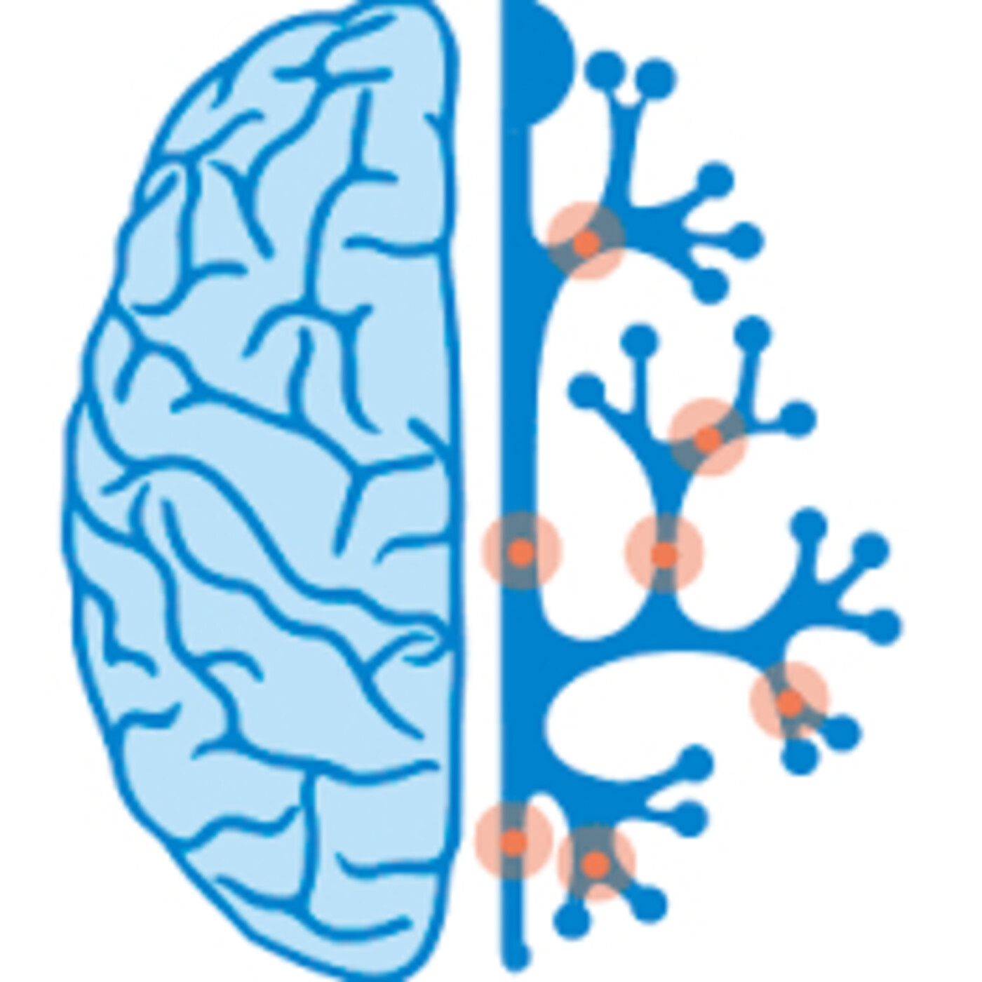 PARA NORMALES DE LA NOCHE