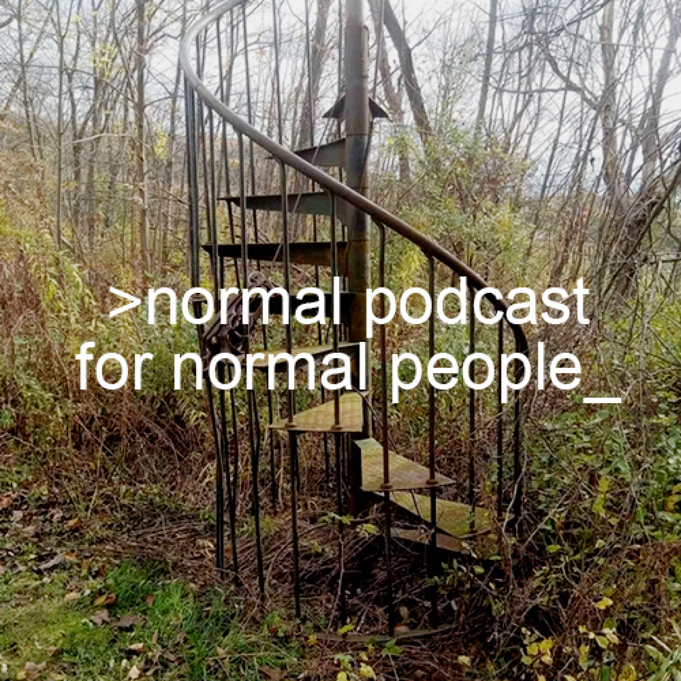 Normal Podcast for Normal People