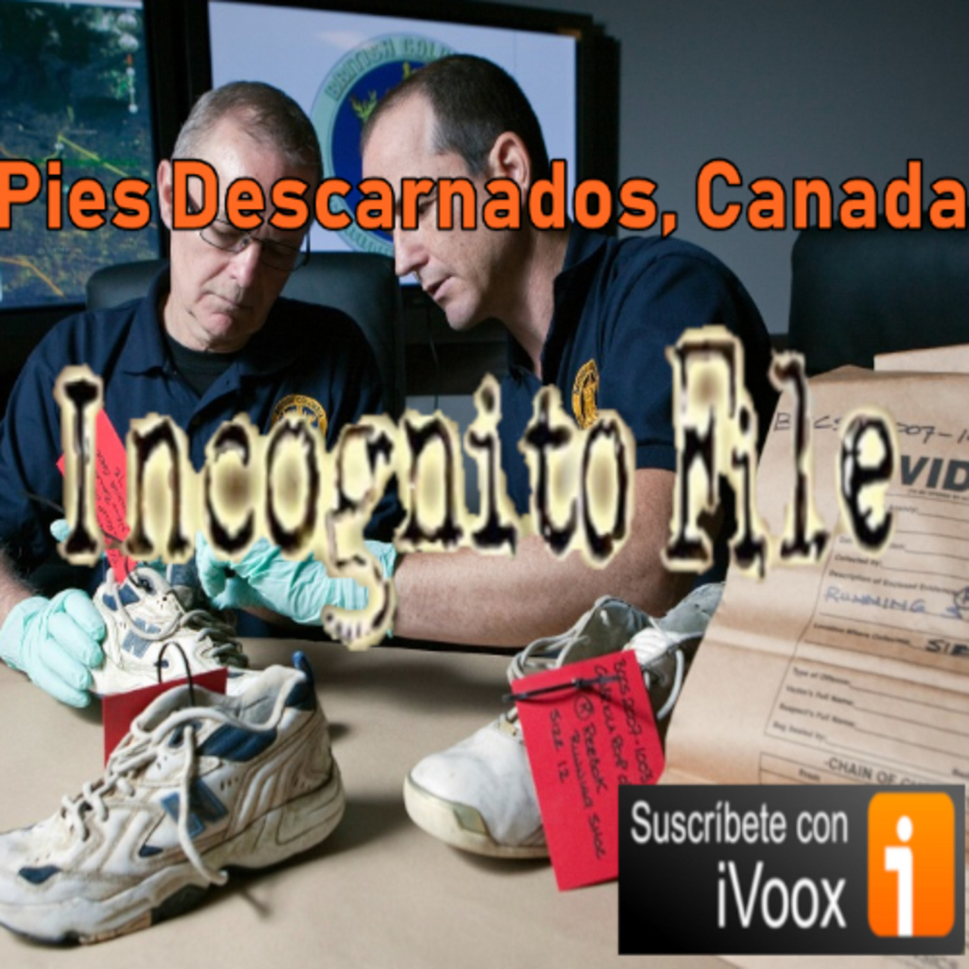 Incognito File