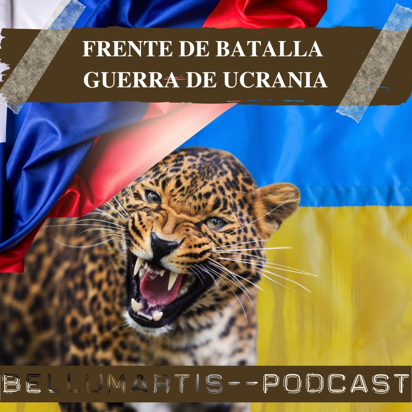 FRENTE DE BATALLA DE LA GUERRA DE UCRANIA: los leopardos salen de la jaula; #bakhmut y #Vuhledar