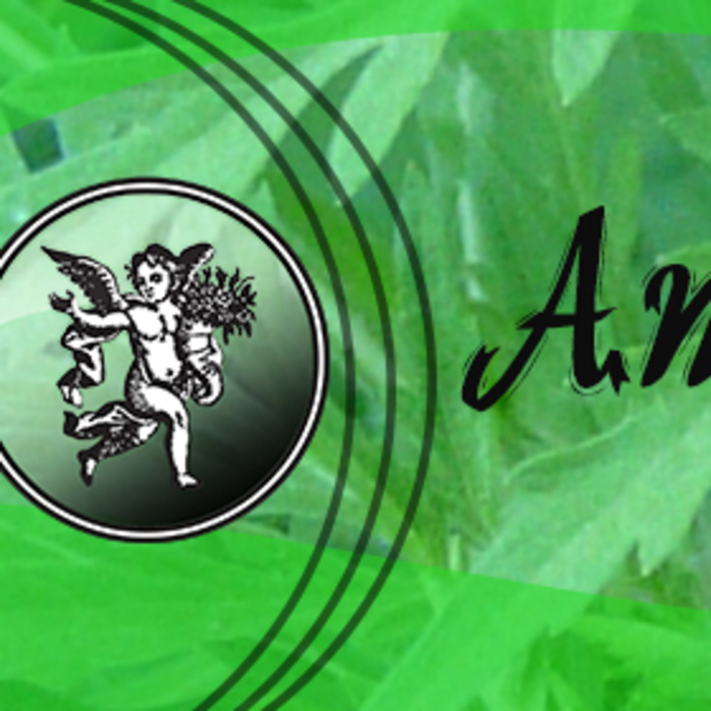 El Ángel de tu Salud - AMBROSÍA 1 episode artwork