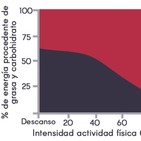Dieta Cetogénica y Rendimiento Deportivo