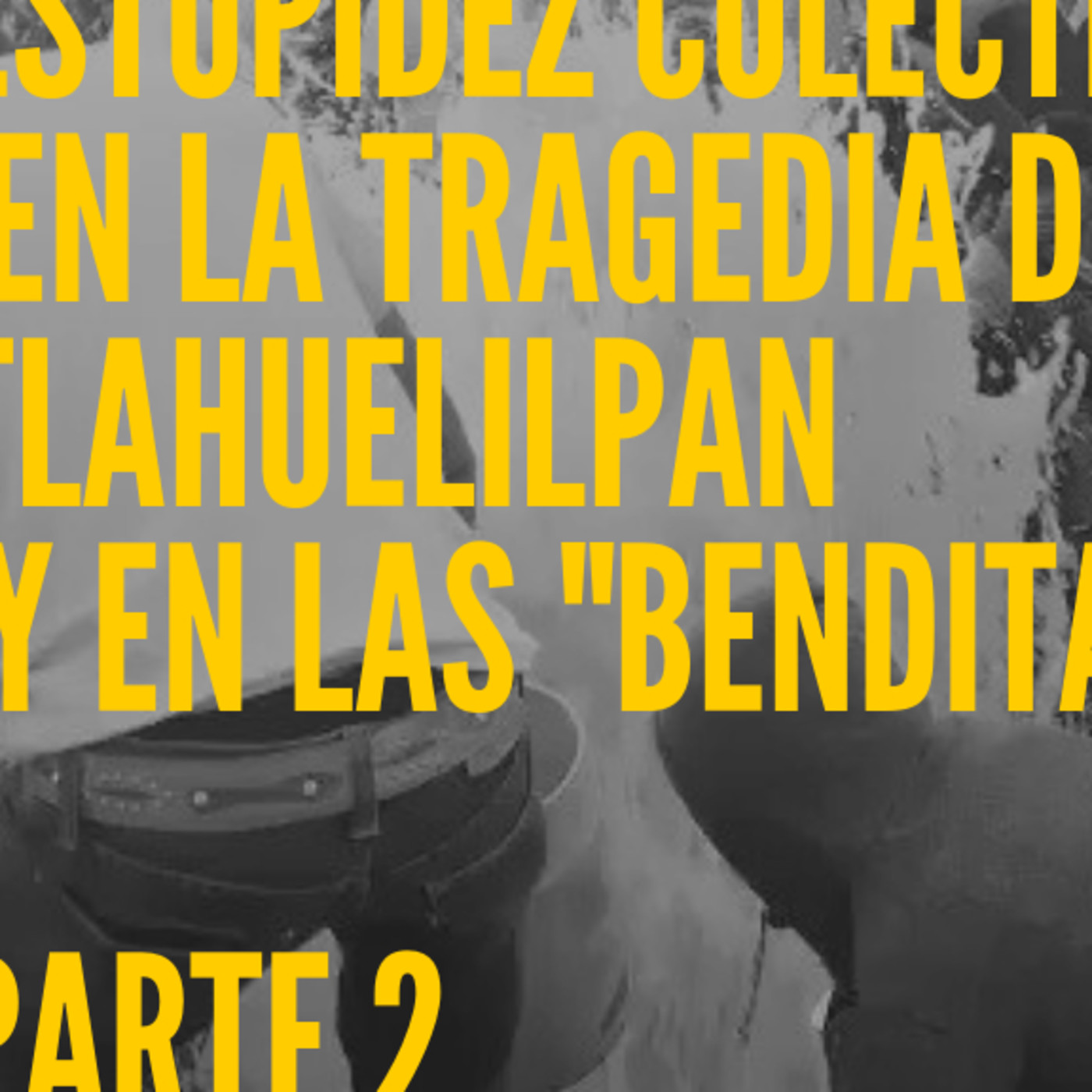 Me Canso Ganso MX