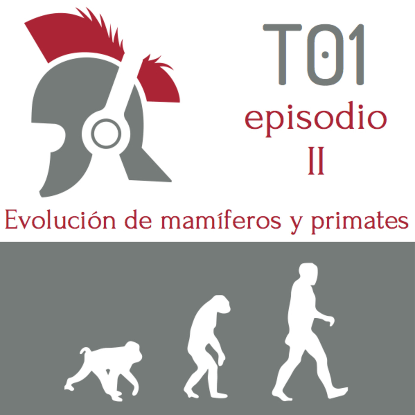 La evolucion de los mamiferos y de los primates
