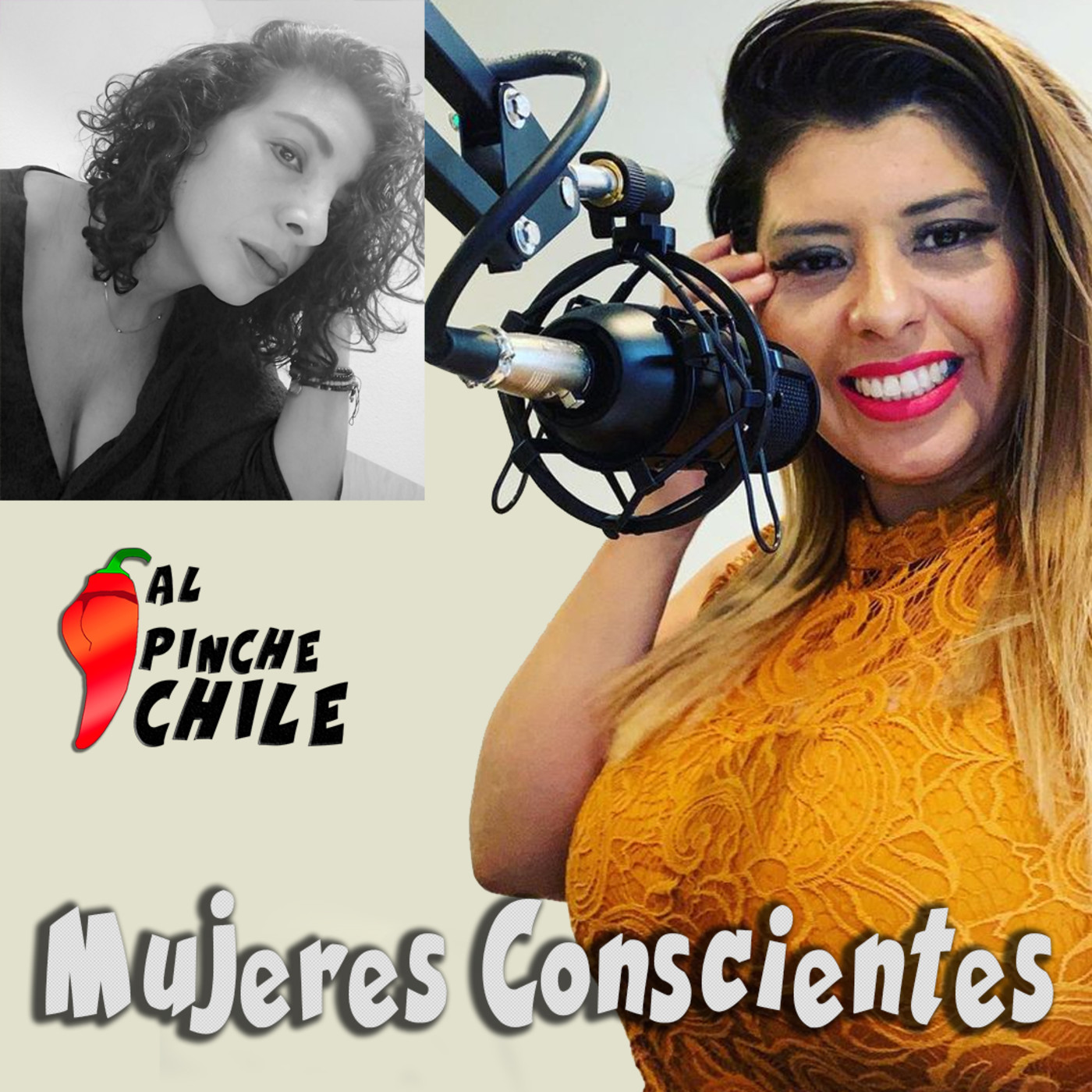 AL PINCHE CHILE