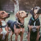 Podcans #8