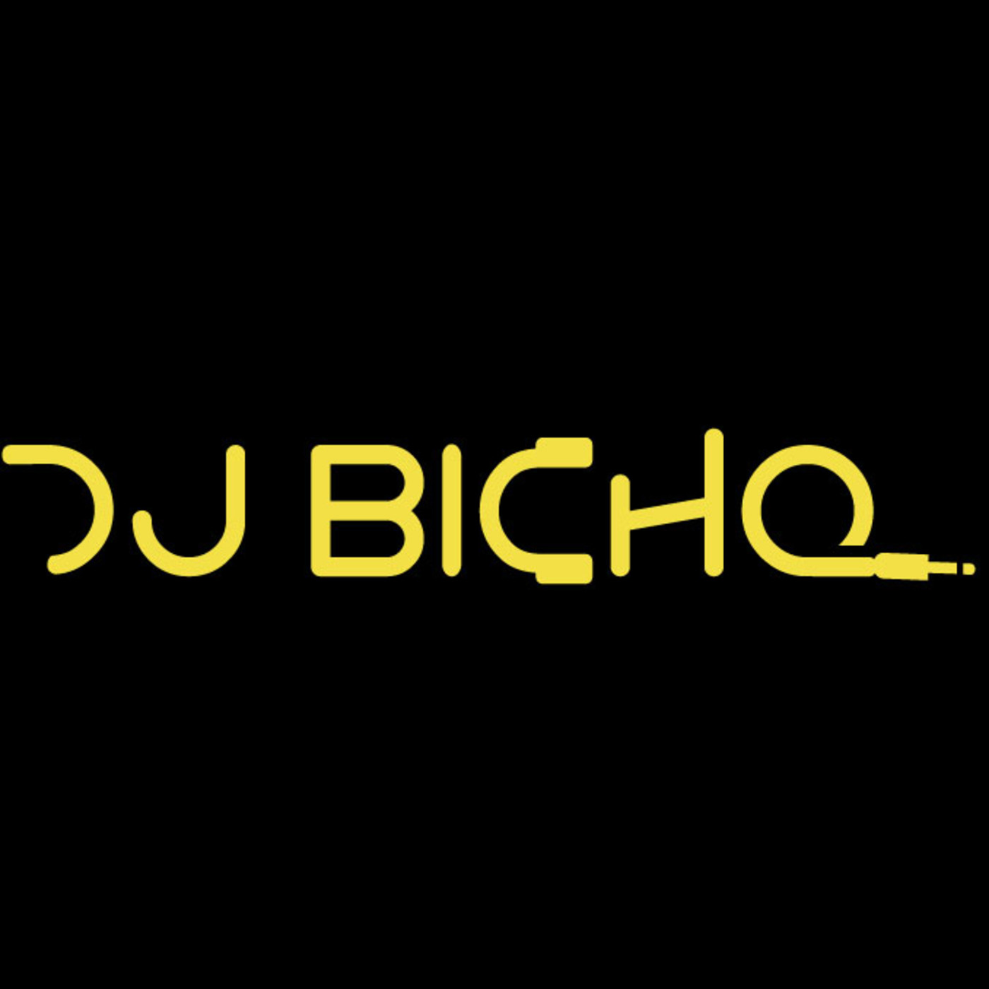 Dj Bicho