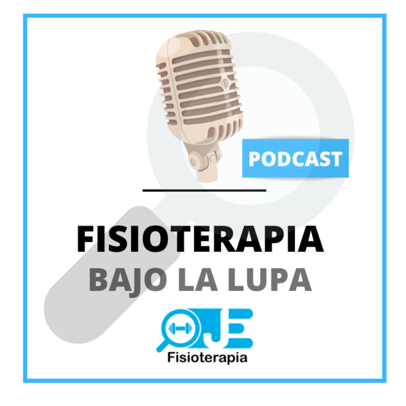 Fisioterapia bajo la lupa