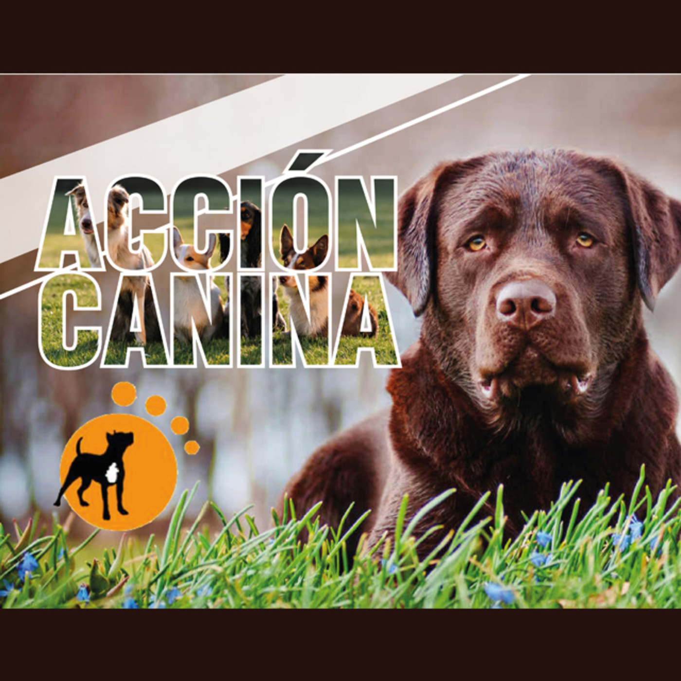 Acción Canina