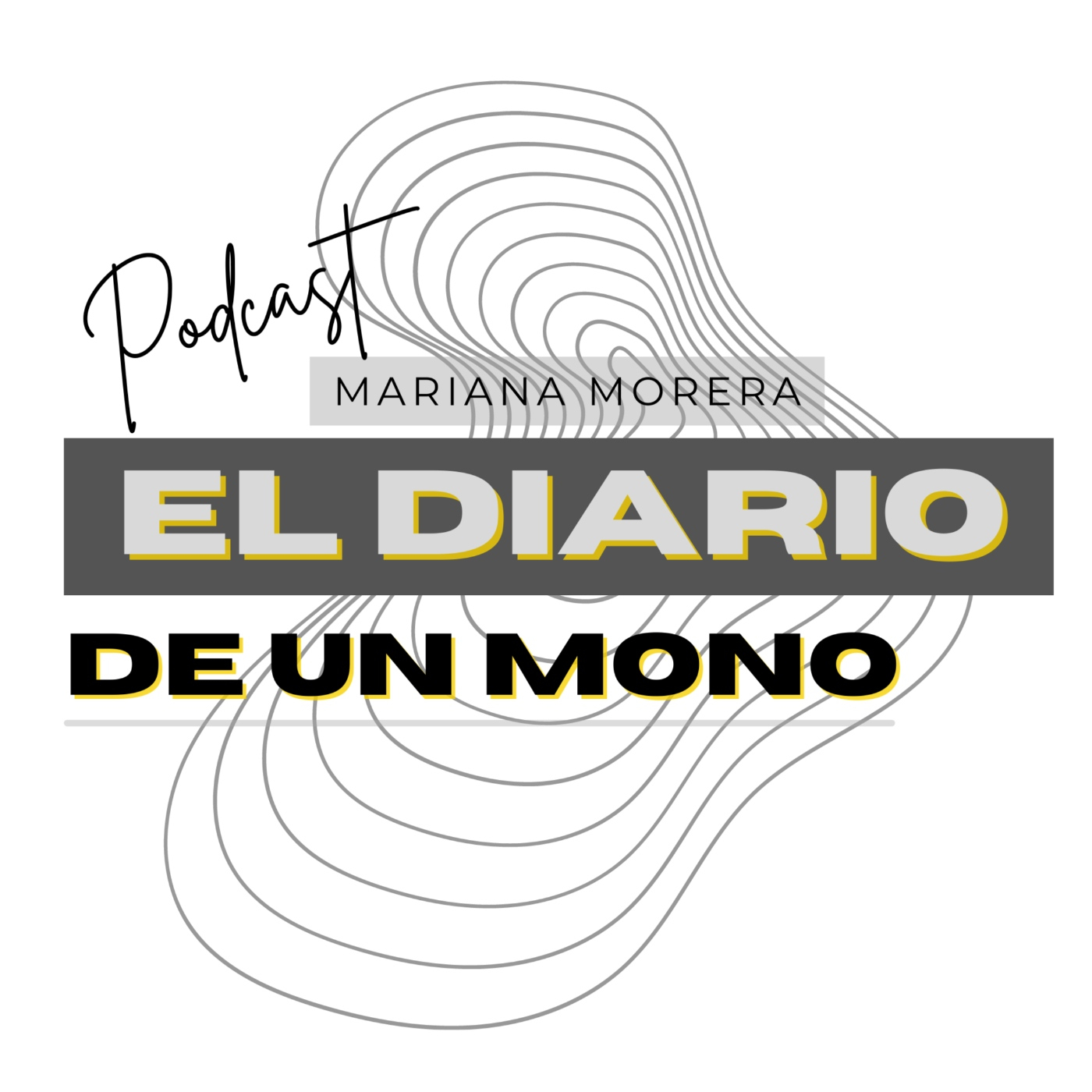 El Diario de un artista