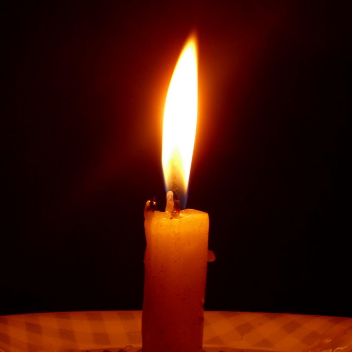 Evangelio diario y Meditación