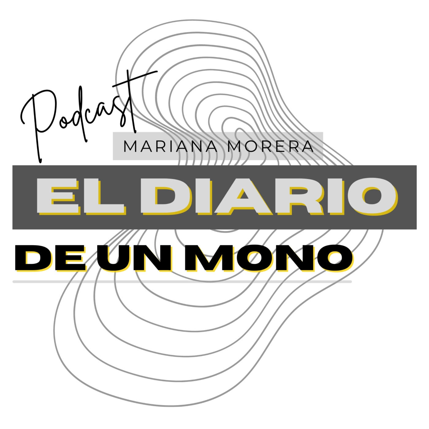El Diario de un artista