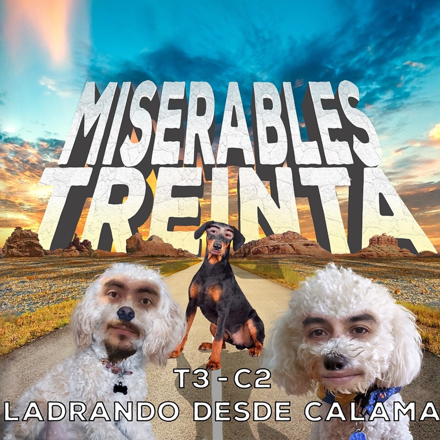Miserables Treinta