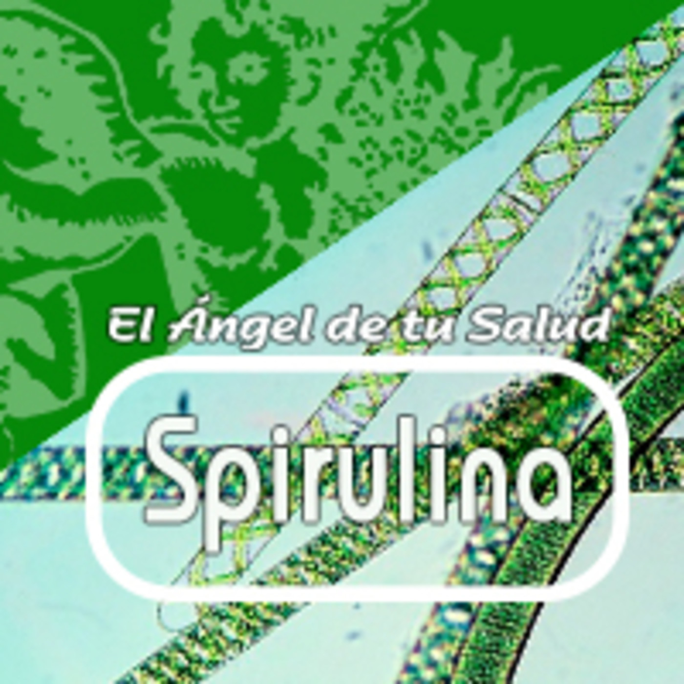 El Angel de tu Salud - SPIRULINA*