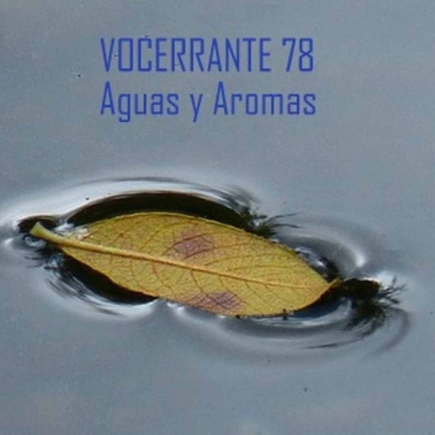 Podcast de Vocerrante