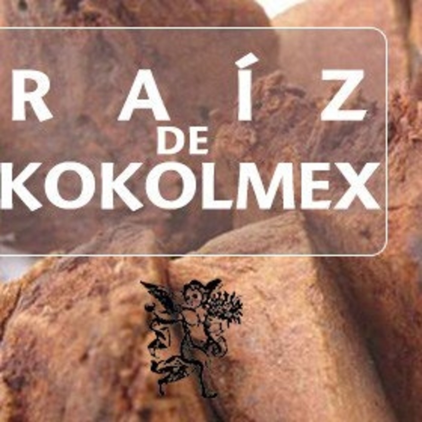 El Angel de tu Salud - KOKOLMEX