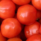 Por qué comer bio