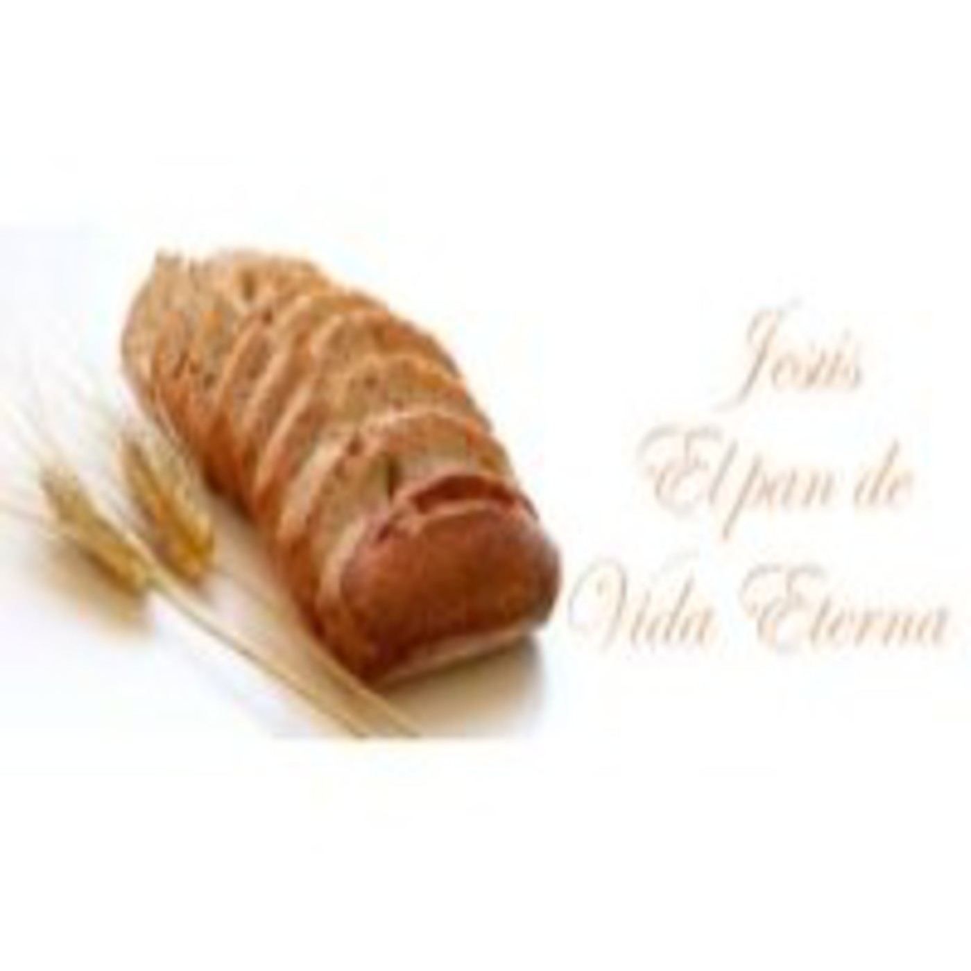 Abunadi, a la Luz de la Palabra