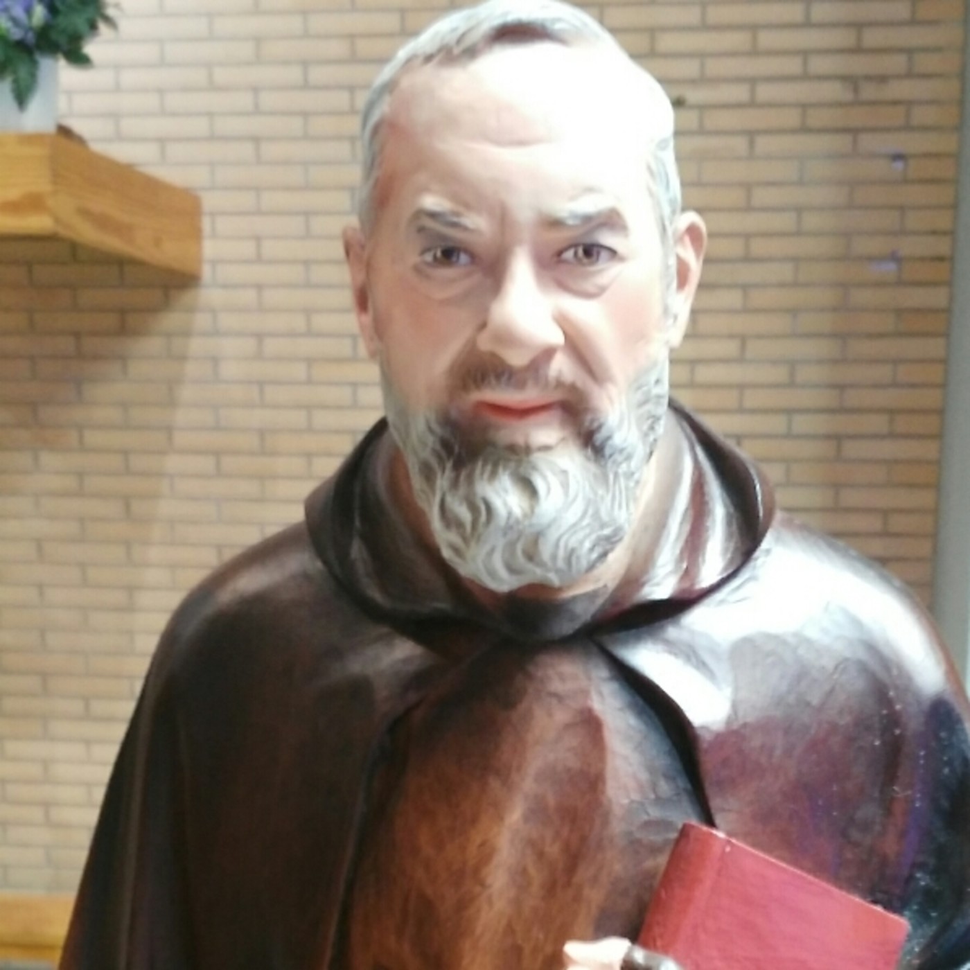 Grupo Oracion Padre Pío Nuestra Señora del Rosario