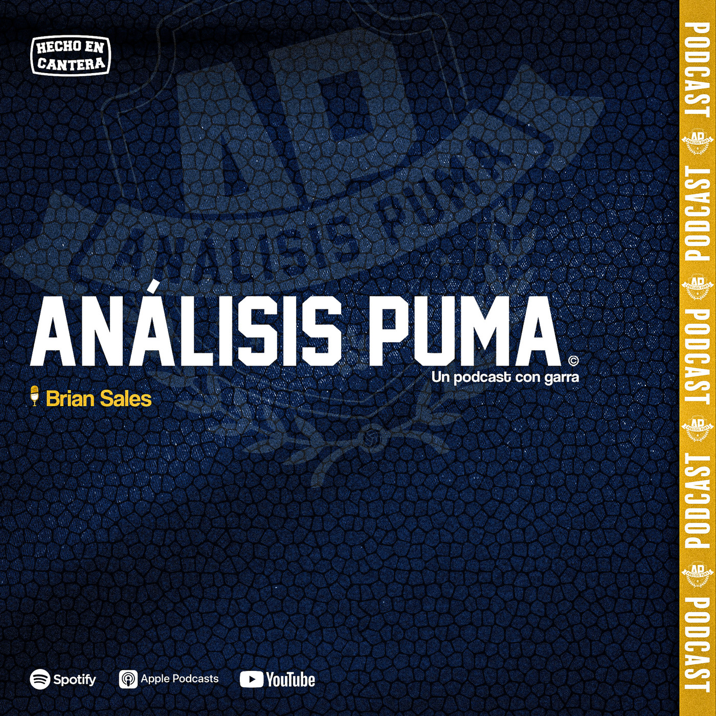 Análisis Puma