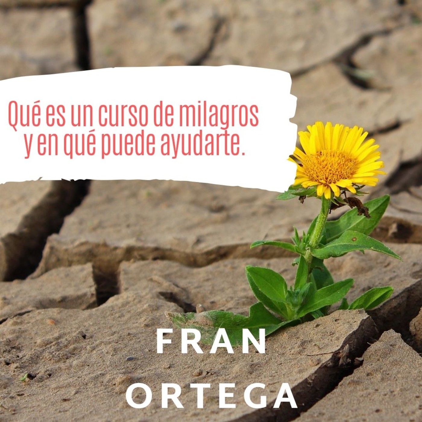 Sergio Amado