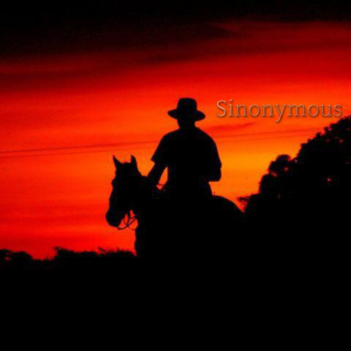Sinonymous S