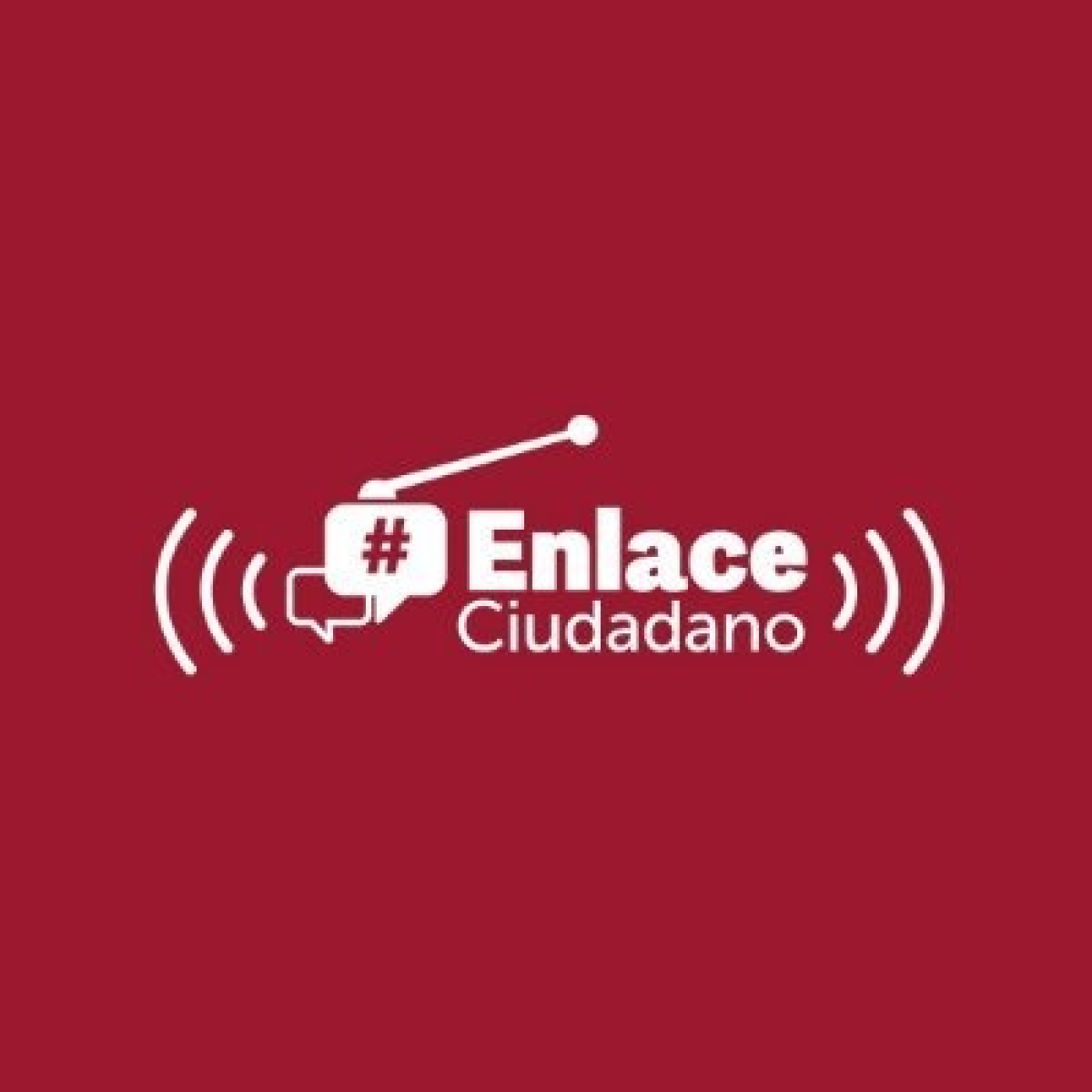 ENLACE CIUDADANO 2024 02 15