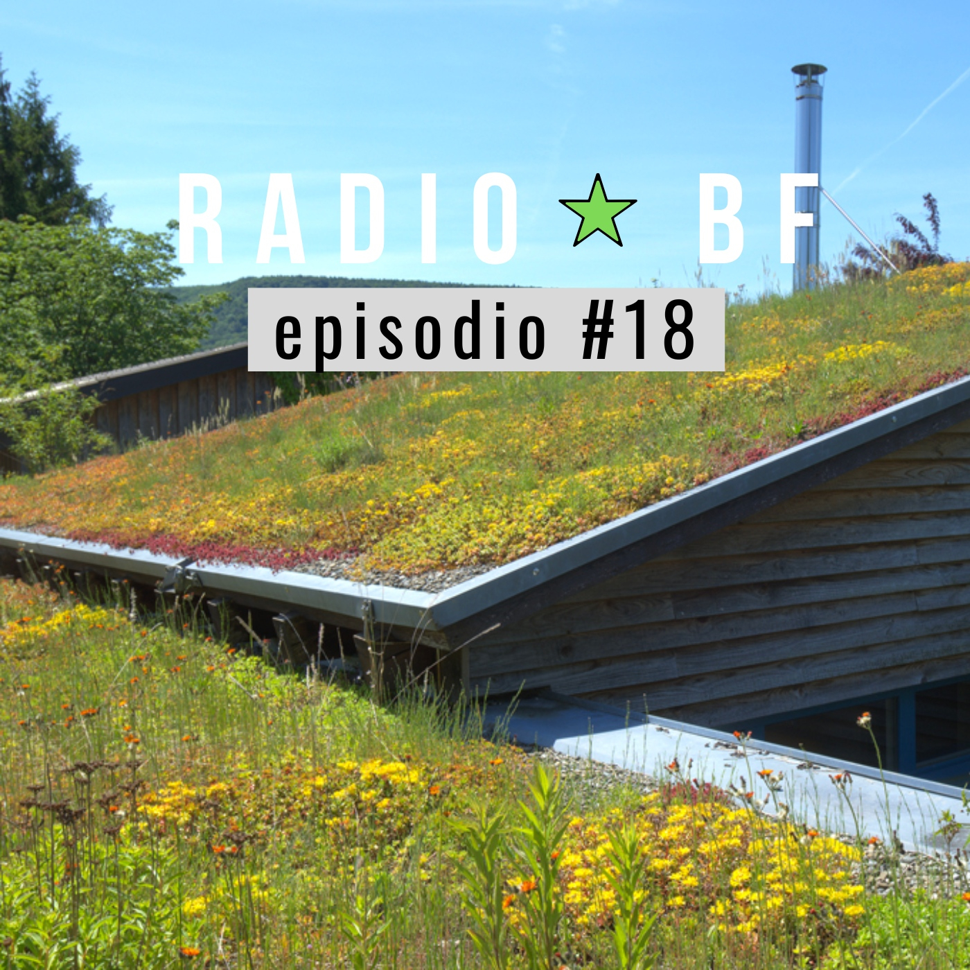 Radio BF