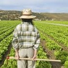 180- Sobre la otrora sobriedad de los españoles