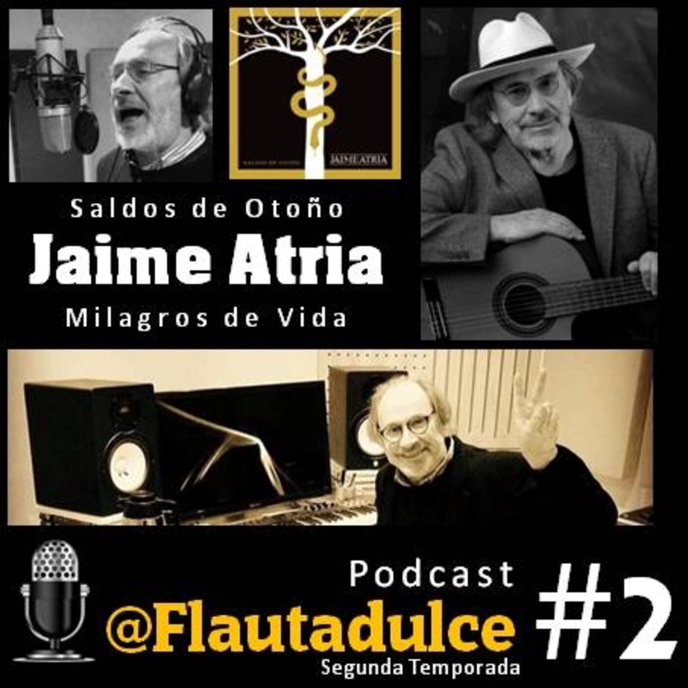 Flauta Dulce Podcast