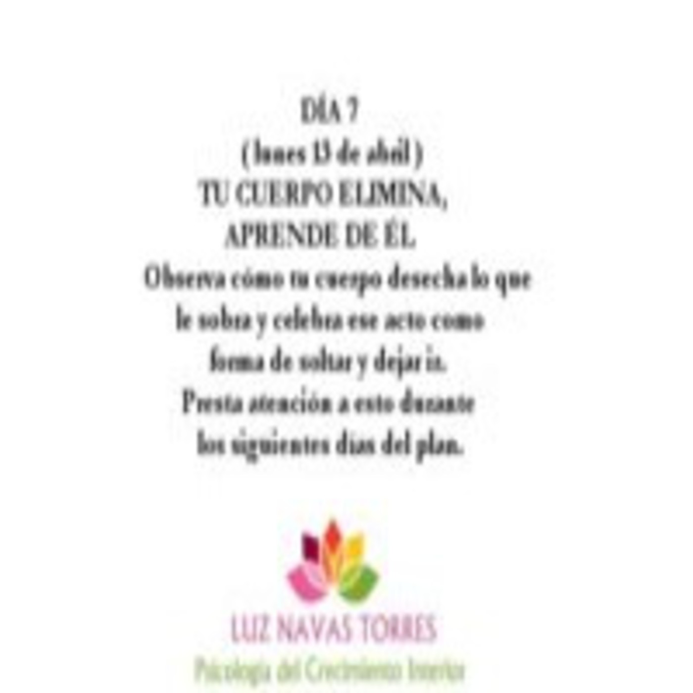 Dia 7 Practicando el Arte de Soltar ( Plan 21 días )
