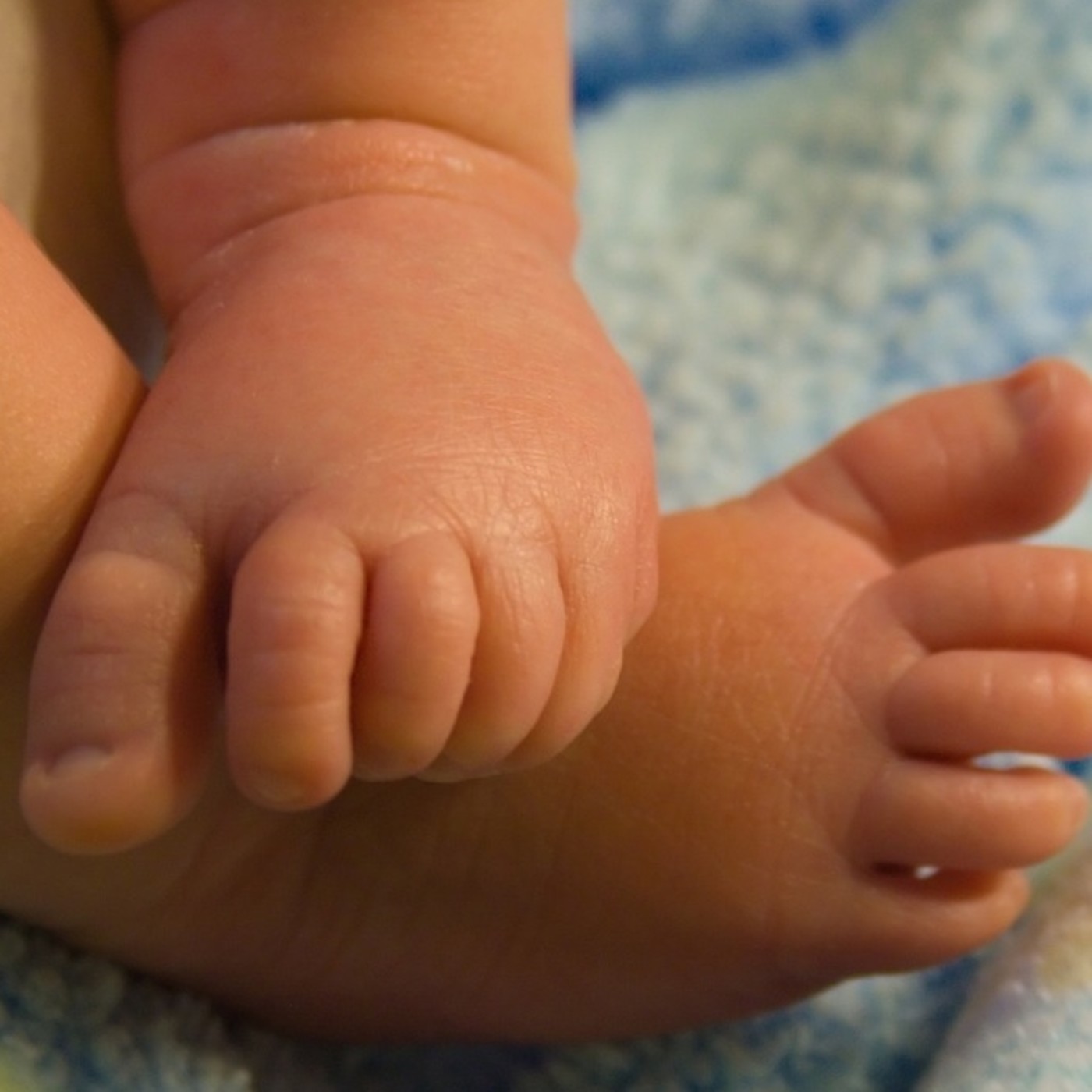 Entradas blog Osoa Accion Integral