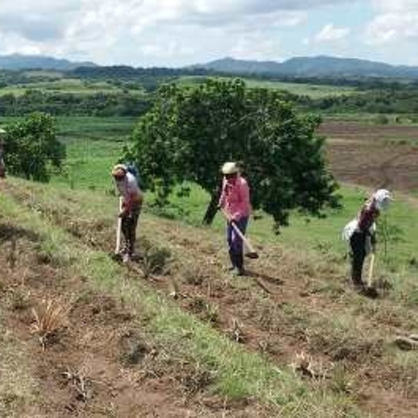 Ciencia y técnica en Santiago de Cuba