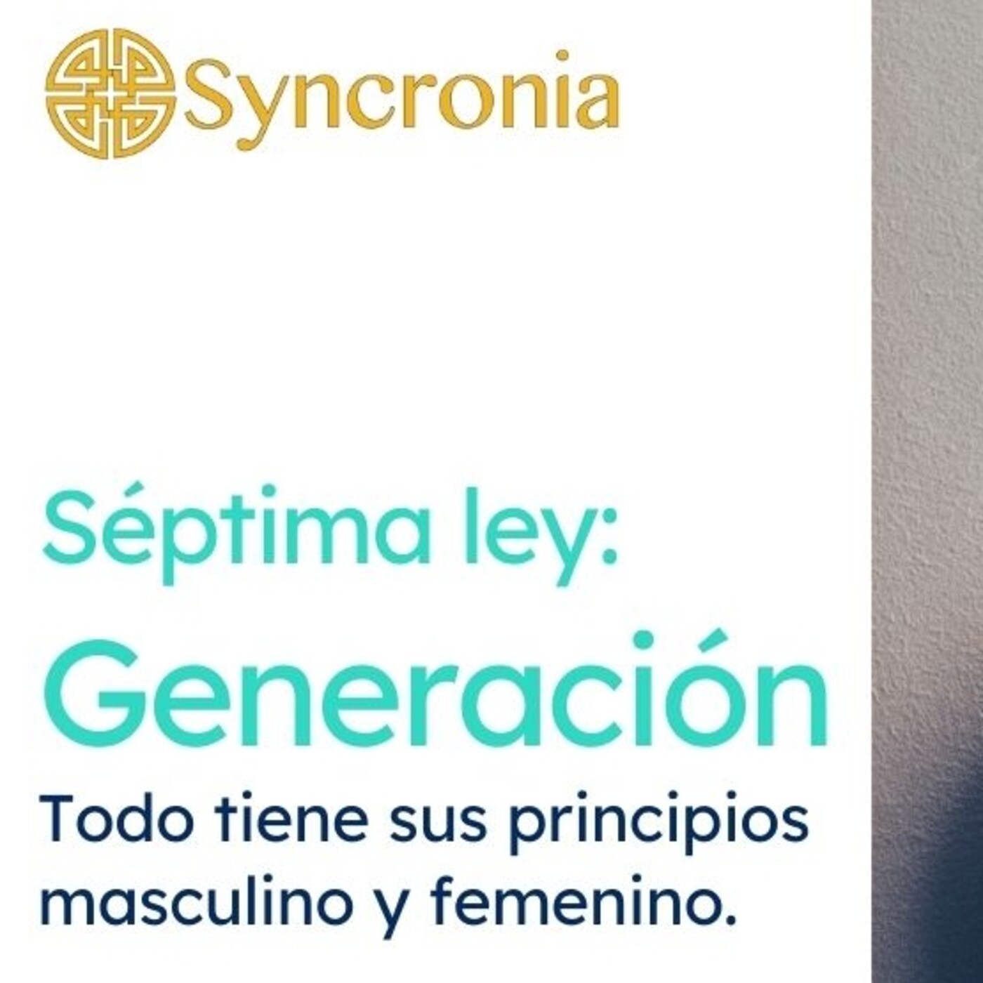 Charlas Syncronia