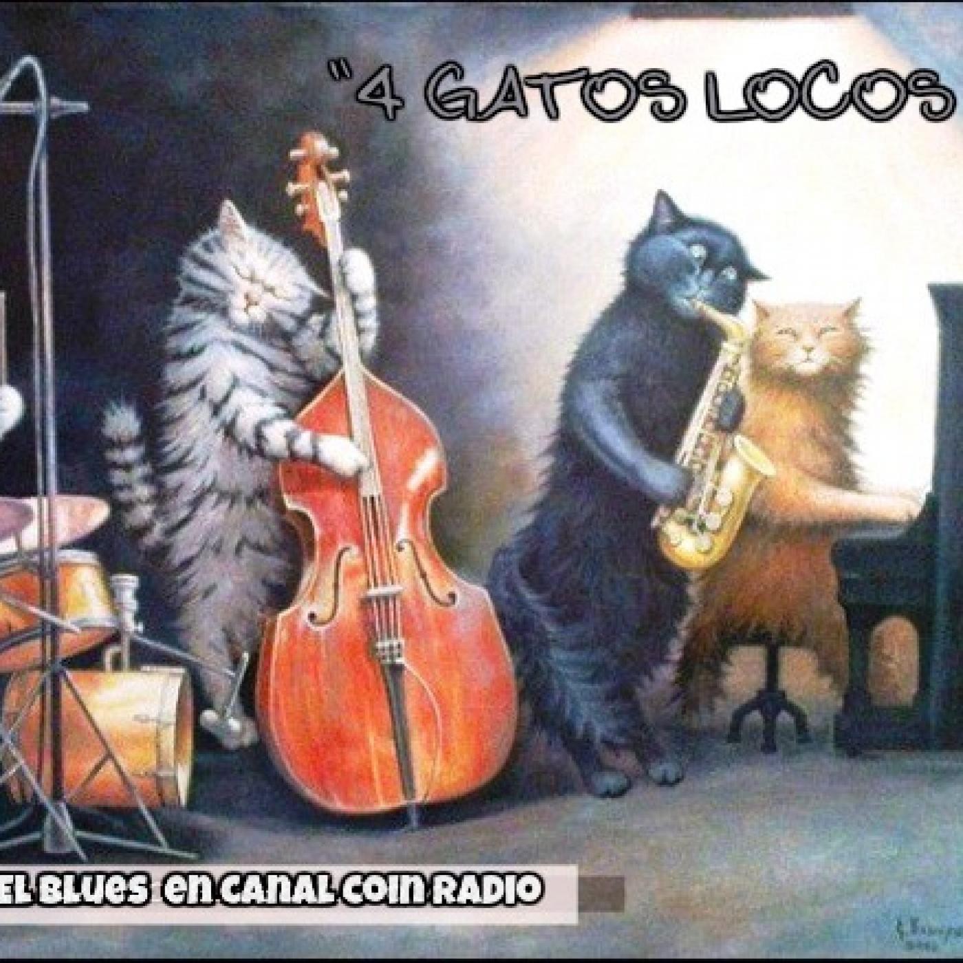 4 gatos locos