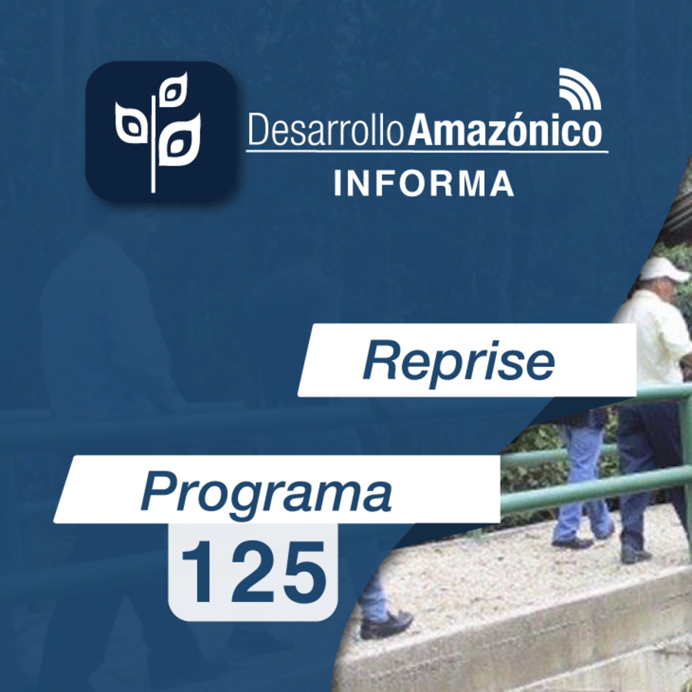 NOTAS INFORMATIVAS