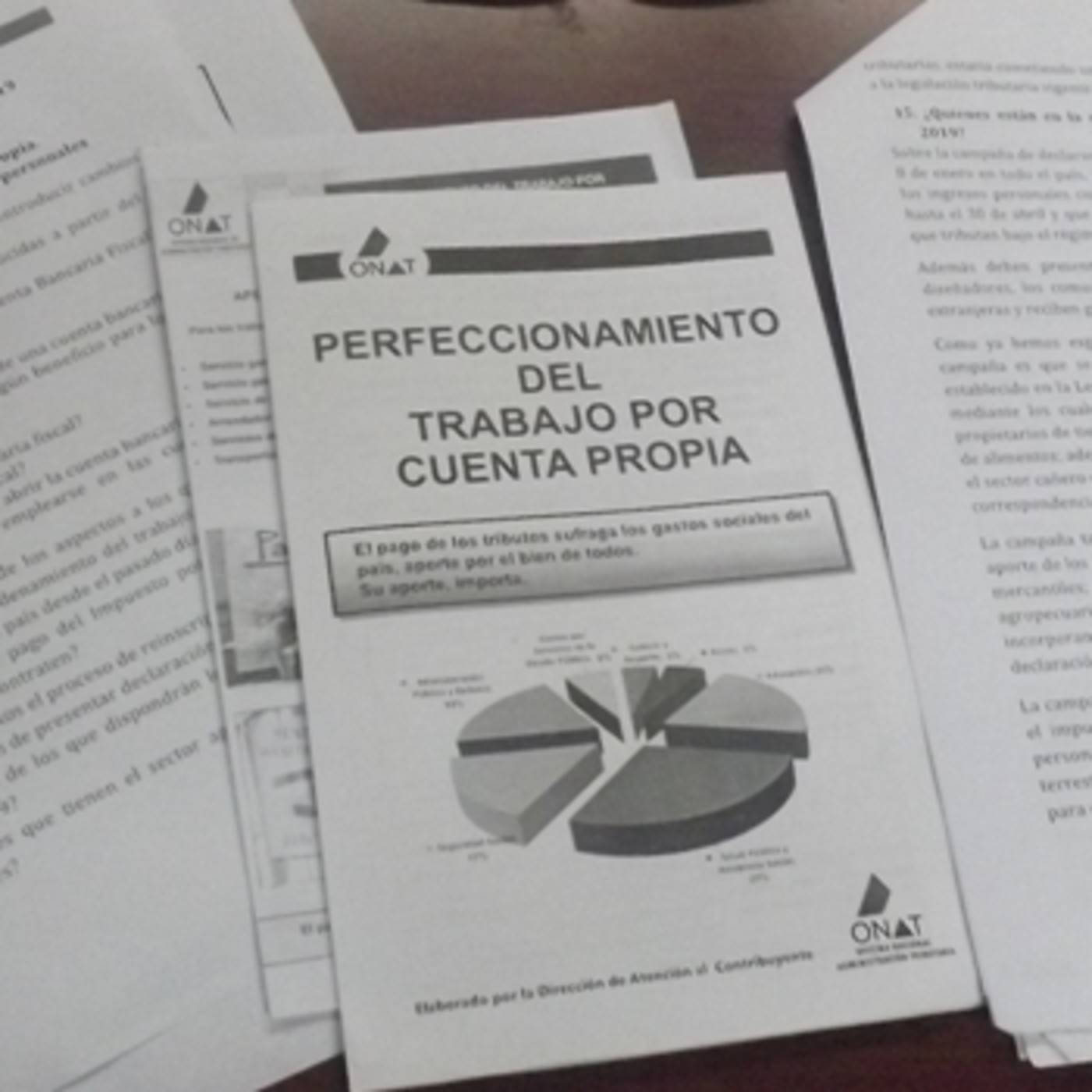 Programa "Rumbos": La ONAT en campaña episode artwork