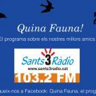 Quina Fauna! Centre Estudis Ètica Animal, Ezequiel Paez; 05-06-16