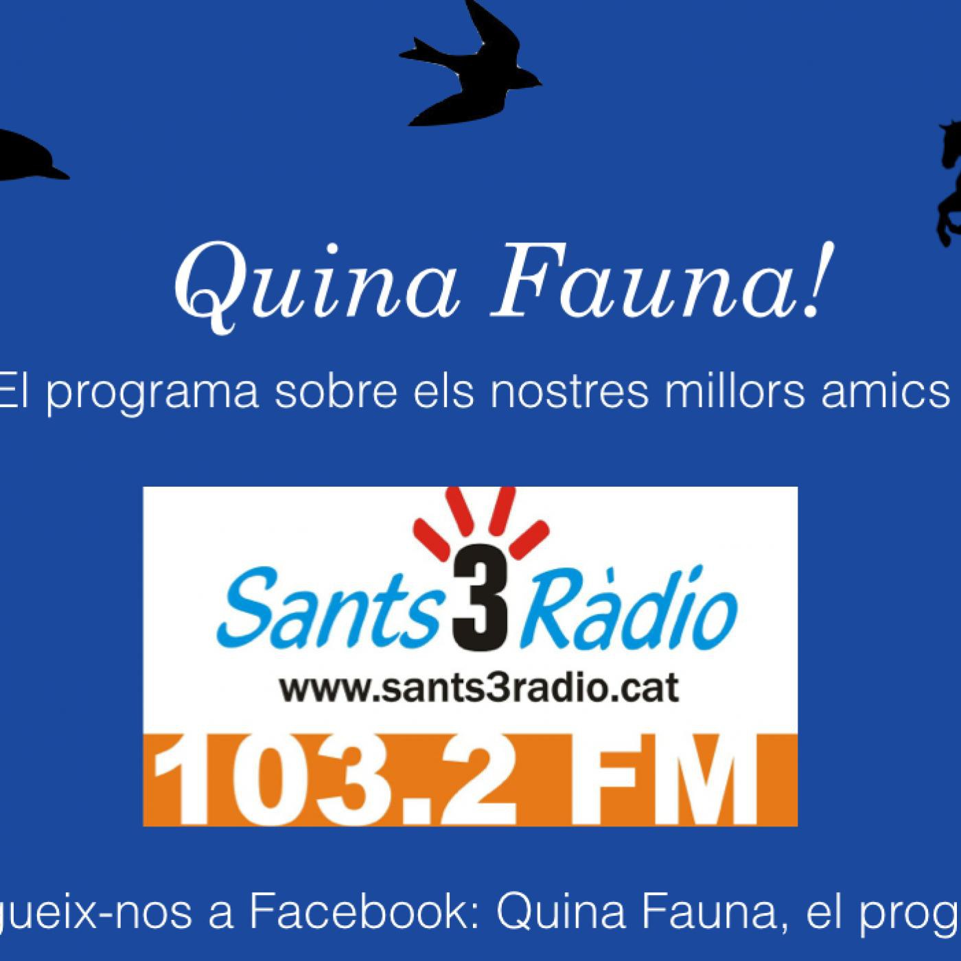 Quina Fauna